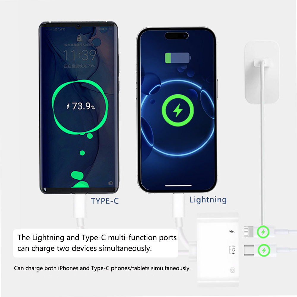 2 in 1 Lightning Type C to USB - Wired Earphone Lightning recension och pris
